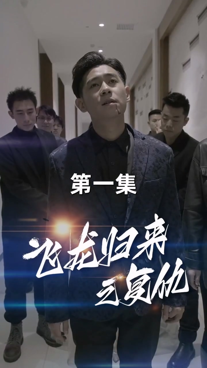 飞龙归来第30集