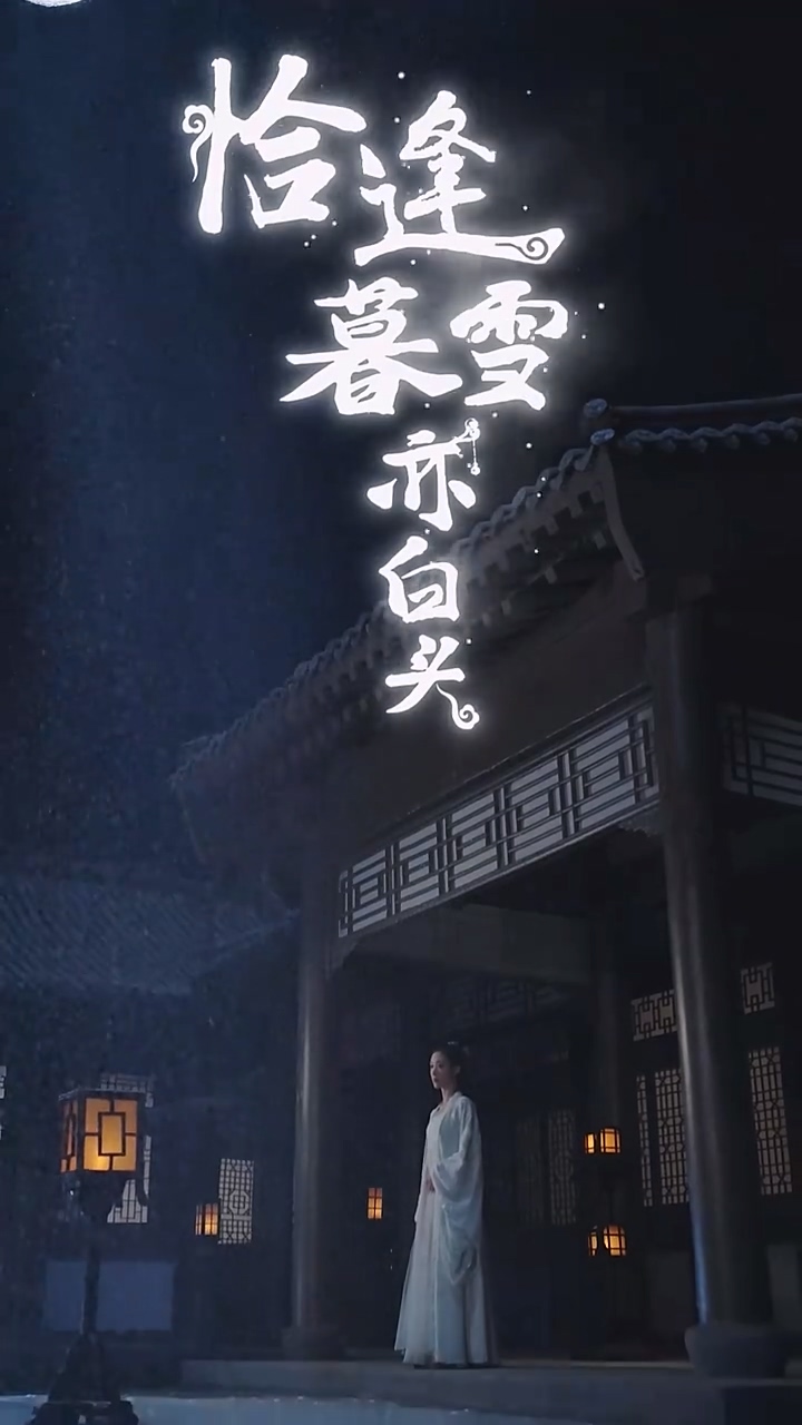 恰逢暮雪亦白头第90集