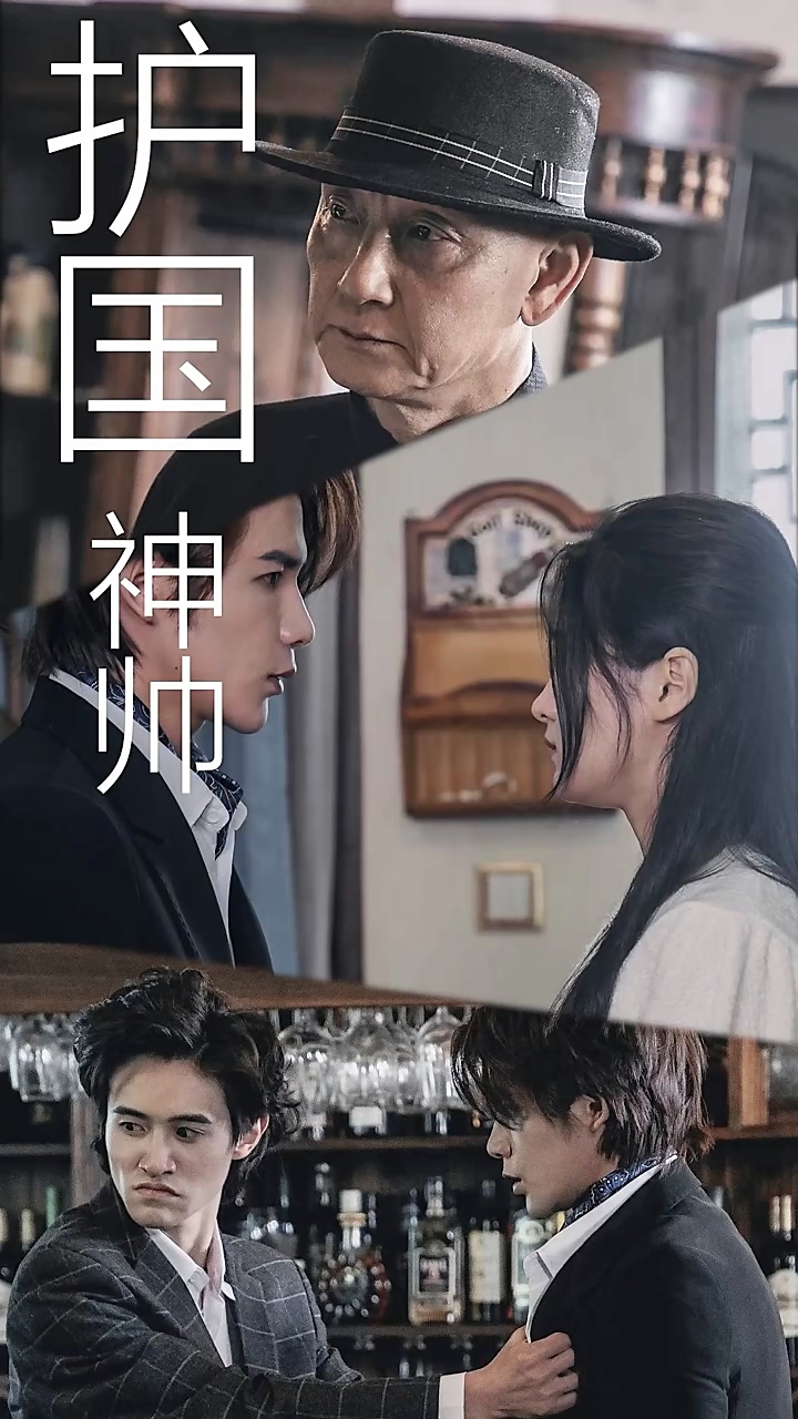 护国龙帅第09集