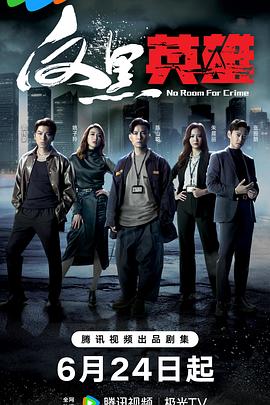 反黑英雄国语第01集