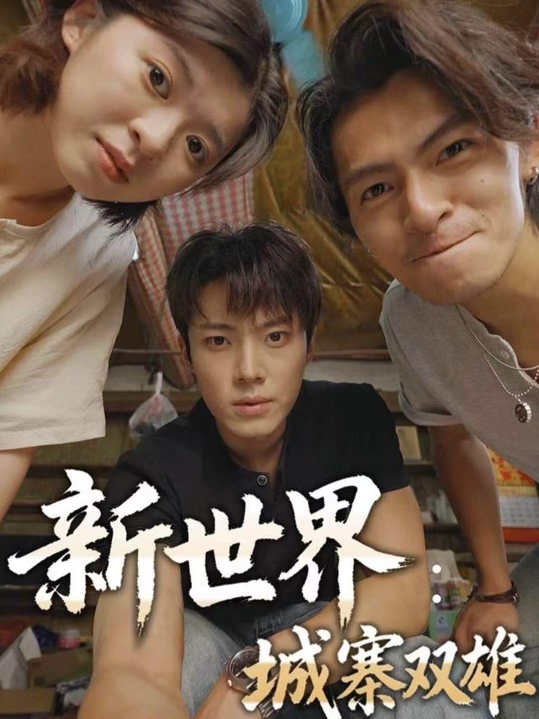 新世界：城寨双雄(全集)