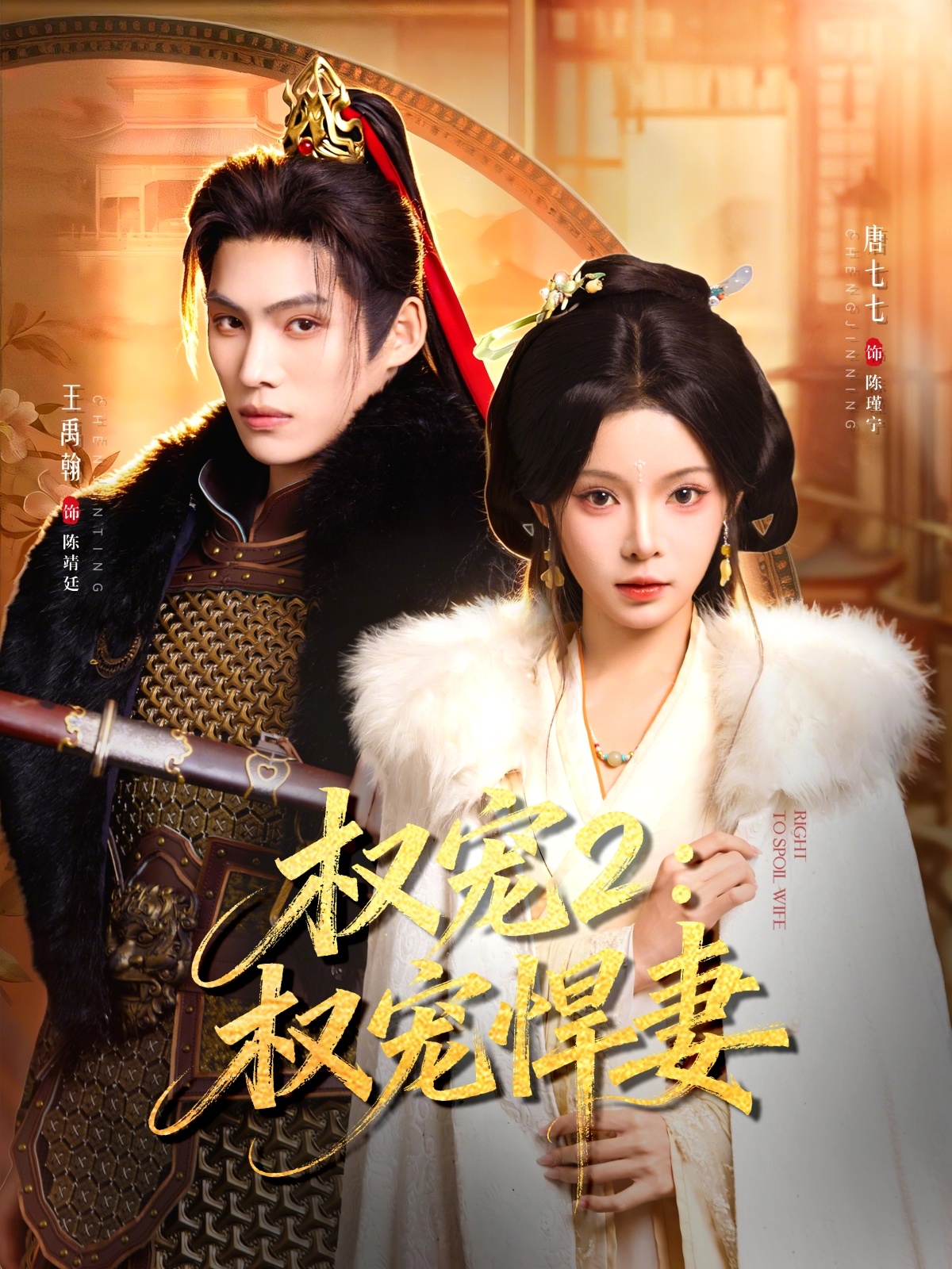权宠2：权宠悍妻第40集