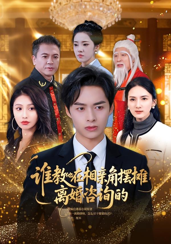 谁教他在相亲角摆摊离婚咨询的第53集