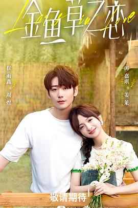 无法抗拒的谎言第21集